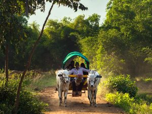 rural tourism in maharashtra