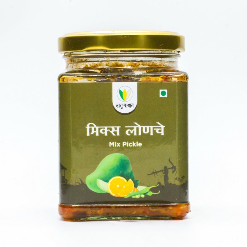 Mix Pickle (मिक्स लोणचे) - 225 gm