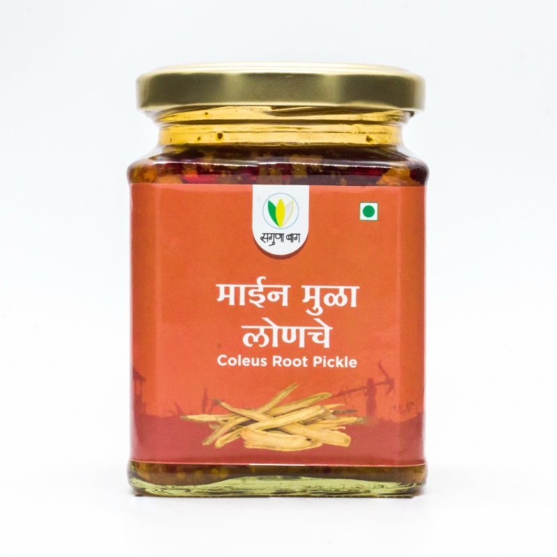 Coleus Roots Pickle (माईनमुळा लोणचे ) - 225 gm