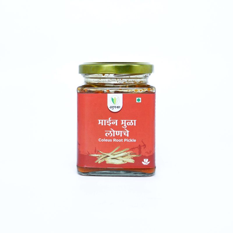 Coleus Roots Pickle (माईनमुळा लोणचे ) - 225 gm