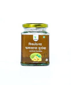 Jackfruit Murabba (फणसाचा मुरांबा) - 250 gm