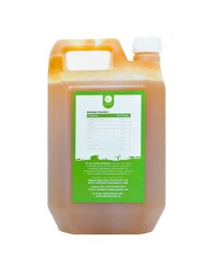 Alternative view of Raw Mango Syrup (कैरी पन्हे ) - 1ltr