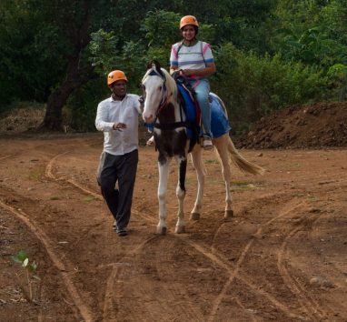 Horse RideFeel the thrill of riding a graceful horse as you bond with these majestic creatures. Perfect for beginners and seasoned riders.