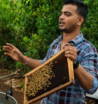 ApicultureLorem Ipsum is simply dummy text of the printing and typesetting industry