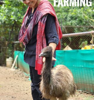 Emu FarmingLorem Ipsum is simply dummy text of the printing and typesetting industry