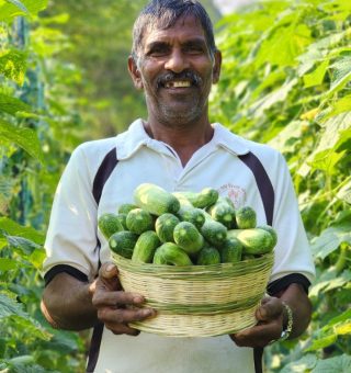 FarmingLorem Ipsum is simply dummy text of the printing and typesetting industry